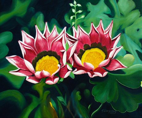 Mittagsblumen